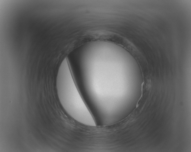 X0000082961108200702081708