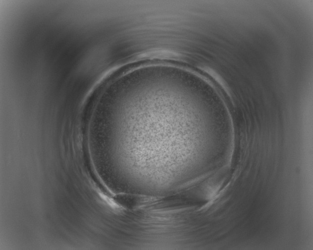 X0000082961115200702081708