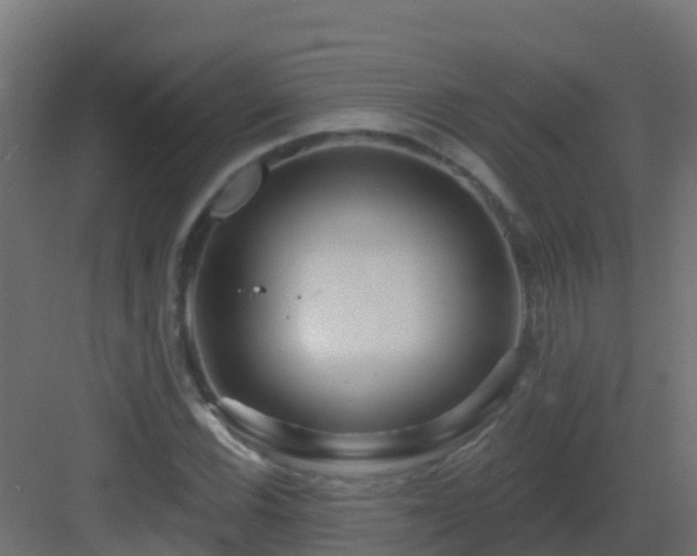 X0000082961116200702081708