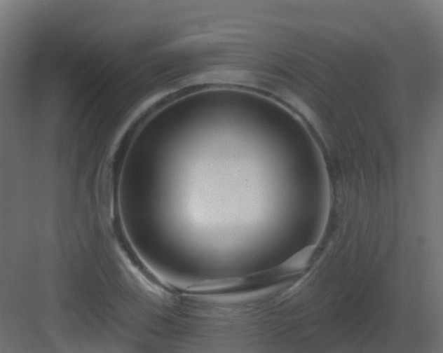 X0000082961123200702081708