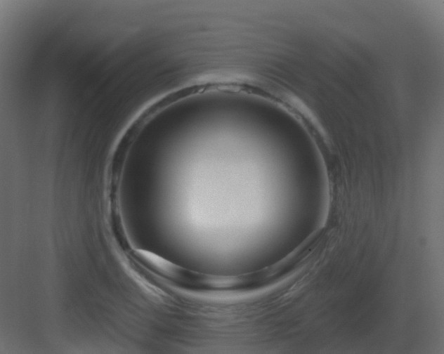X0000082961124200702081708