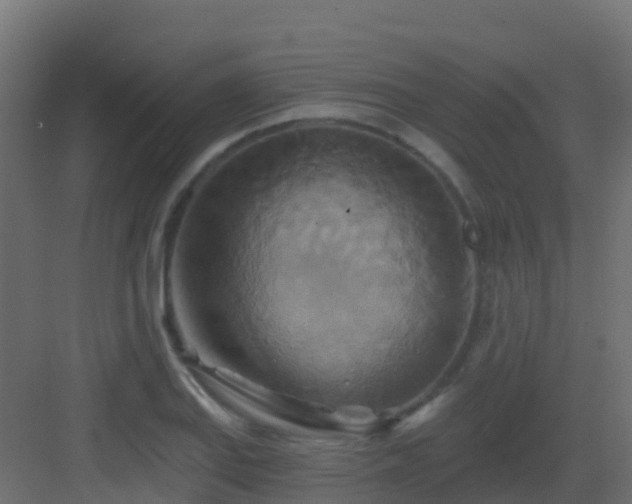 X0000082961127200702081709