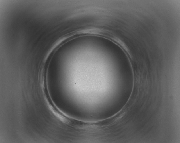 X0000082961131200702081709