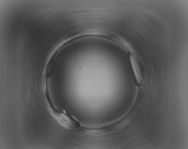 X0000082961132200702081709