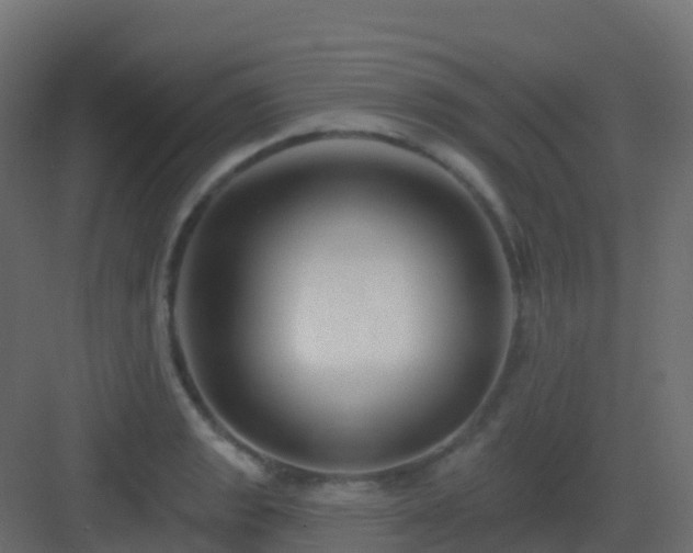 X0000082961133200702081709