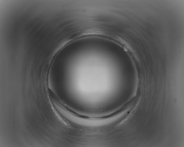 X0000082961137200702081709