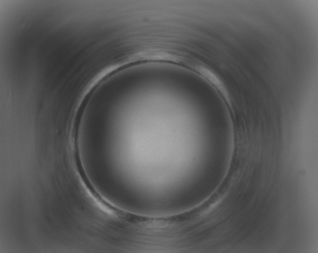 X0000082961141200702081709