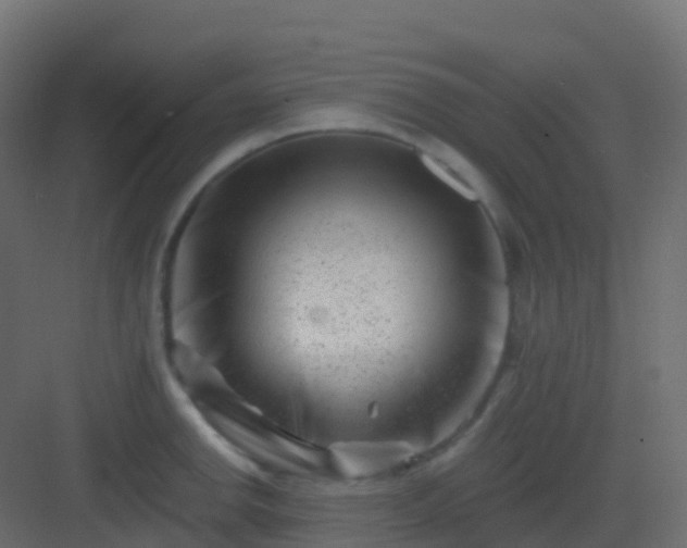 X0000082961142200702081709