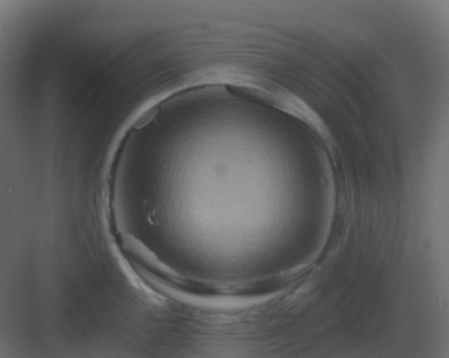 X0000082961144200702081709