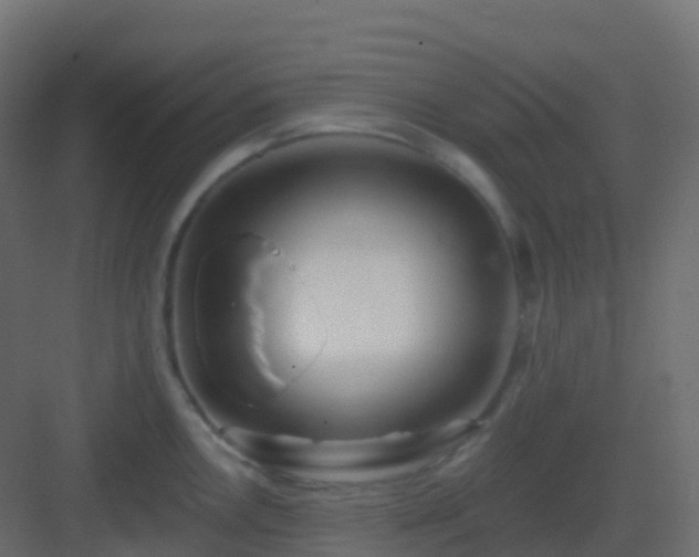 X0000082961146200702081709