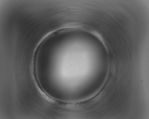 X0000082961147200702081709