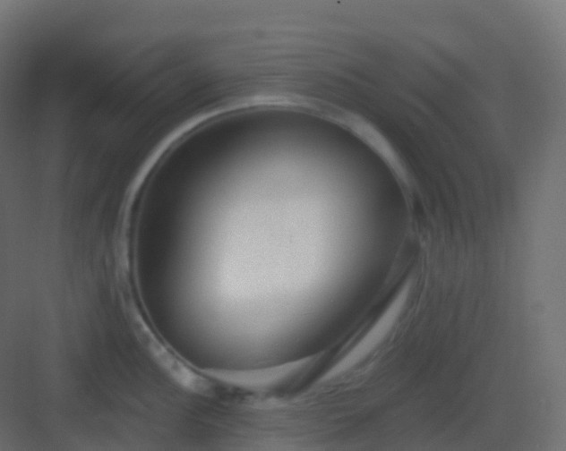 X0000082961148200702081709