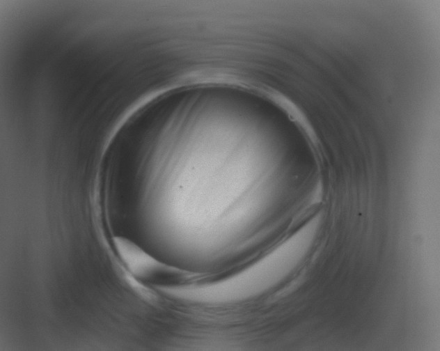 X0000082961149200702081709