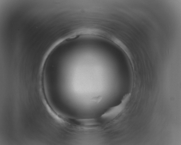 X0000082961152200702081709