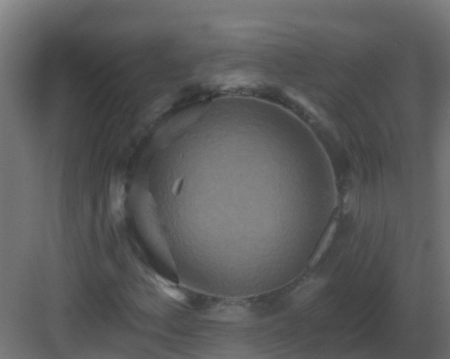 X0000082961156200702081708