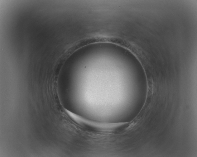 X0000082961157200702081708