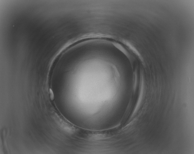 X0000082961173200702081708