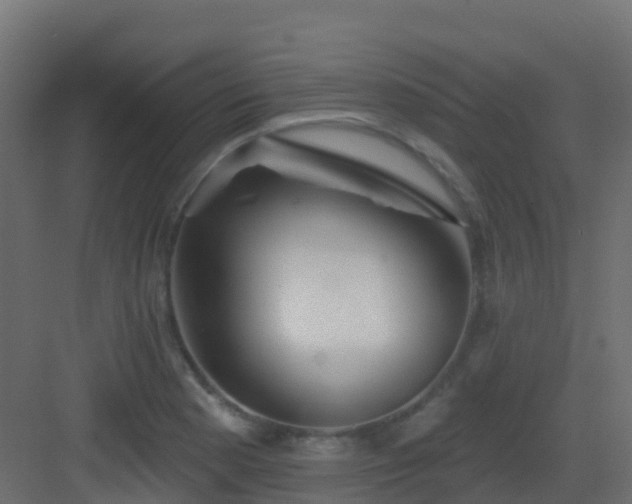 X0000082961177200702081708