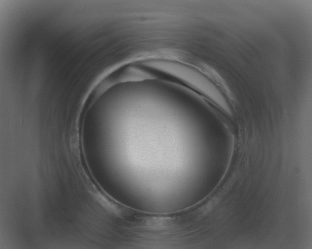 X0000082961184200702081708