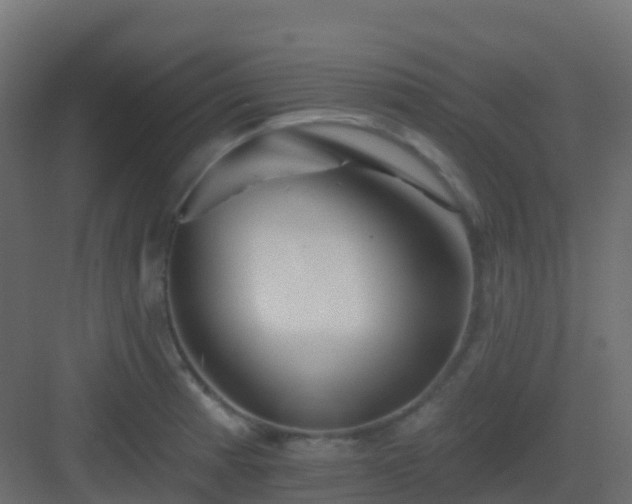 X0000082961185200702081708