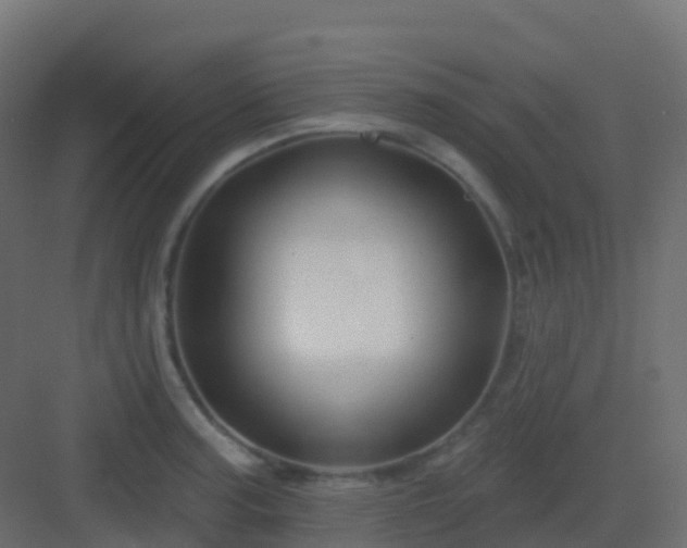 X0000082961187200702081708