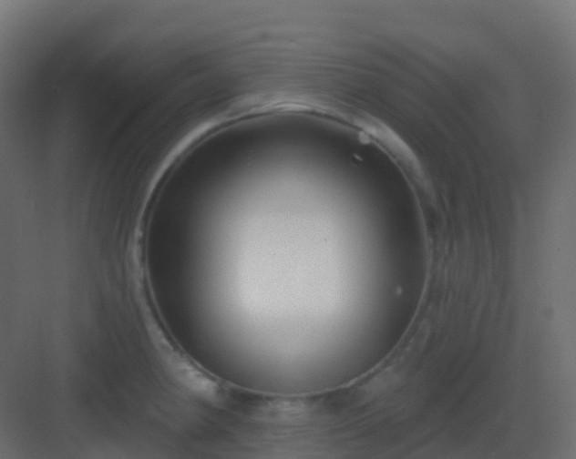 X0000082961190200702081708