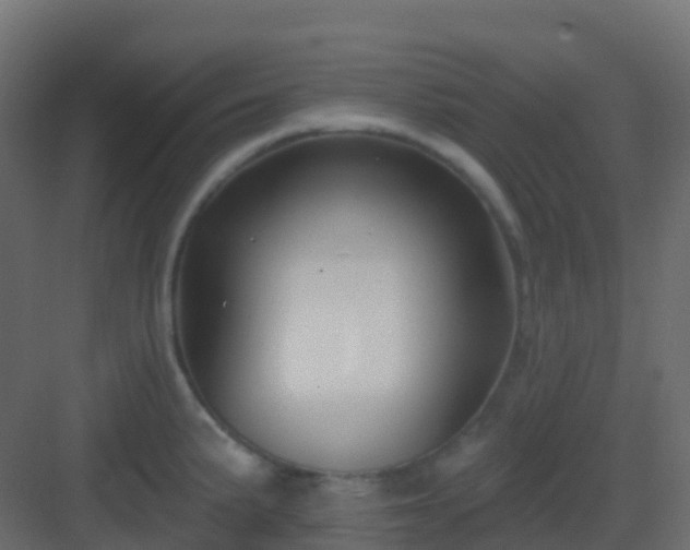 X0000082961191200702081707