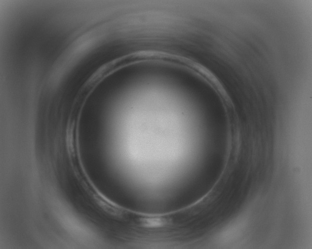 X0000082961199200702081707