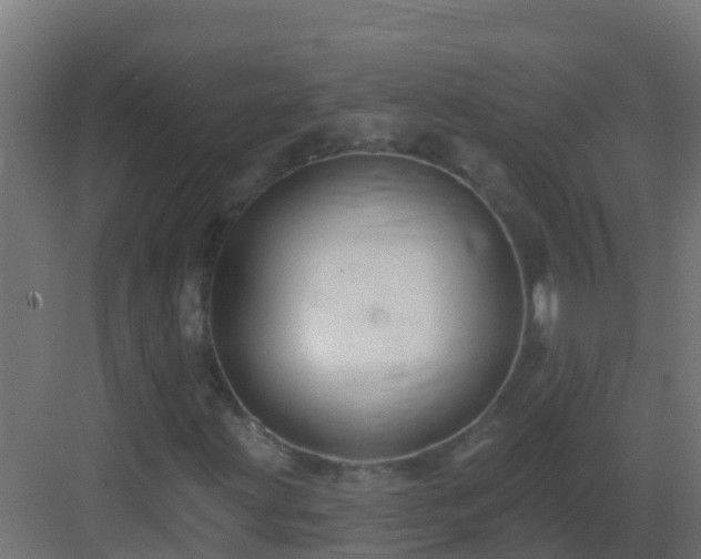 X0000082961203200702081707