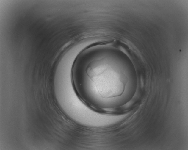 X0000082961210200702081707