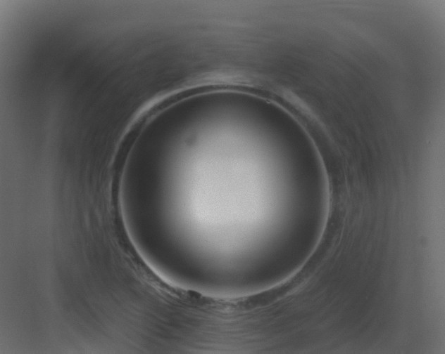 X0000082961222200702081707