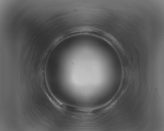 X0000082961225200702081707