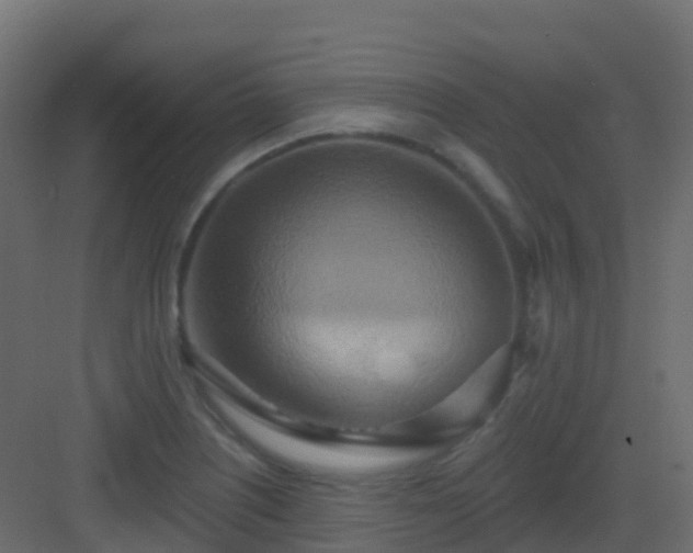 X0000082961226200702081707