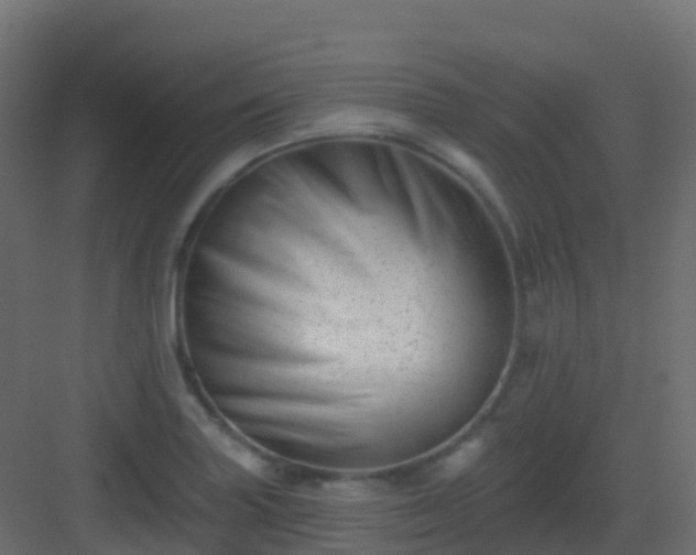 X0000082961227200702081707