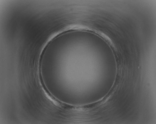 X0000082961231200702081707