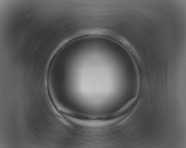X0000082961232200702081707