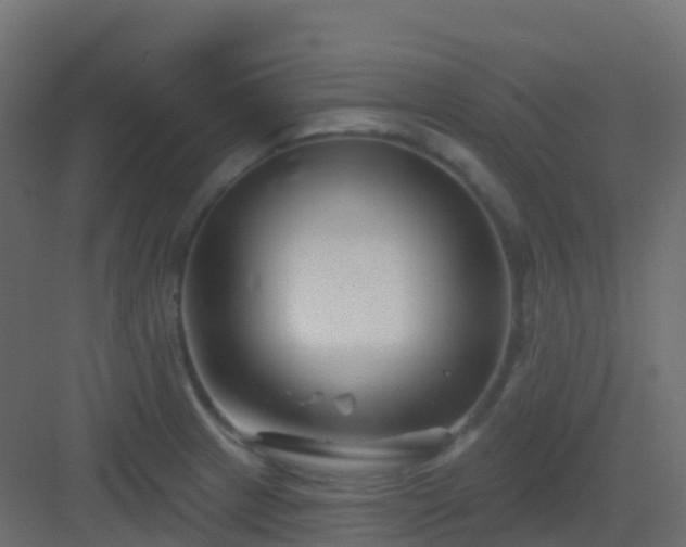 X0000082961233200702081707