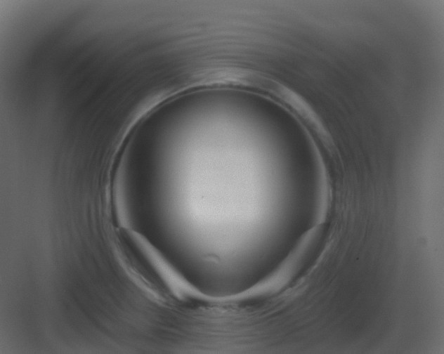 X0000082961234200702081707