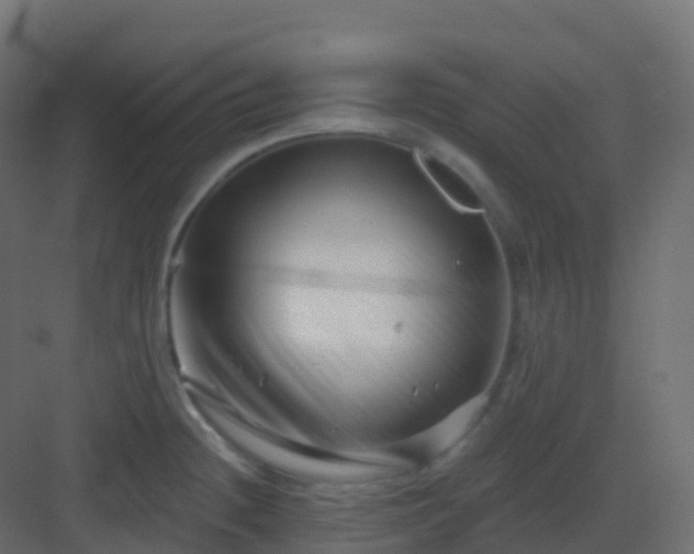 X0000082961236200702081707
