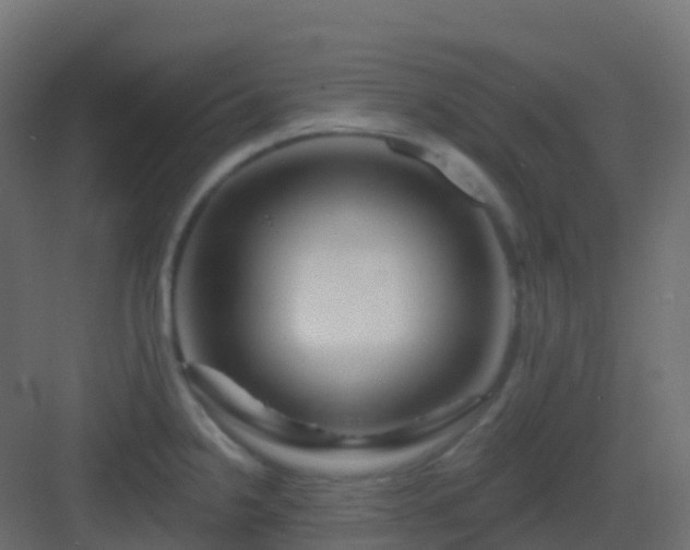 X0000082961238200702081707