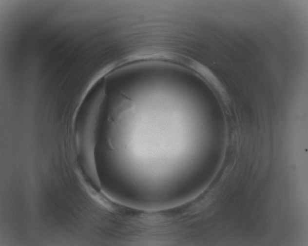 X0000082961242200702081707