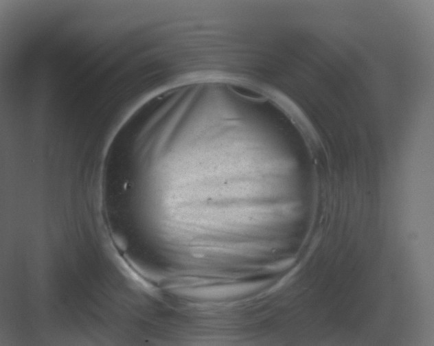 X0000082961244200702081707