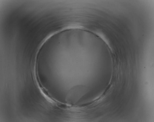 X0000082961245200702081707