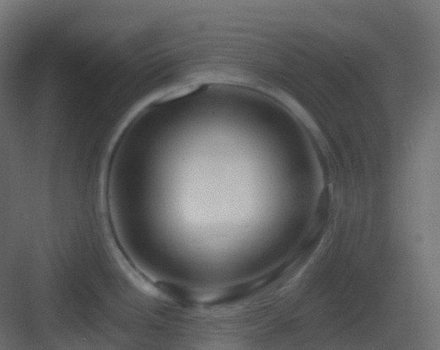 X0000082961246200702081707