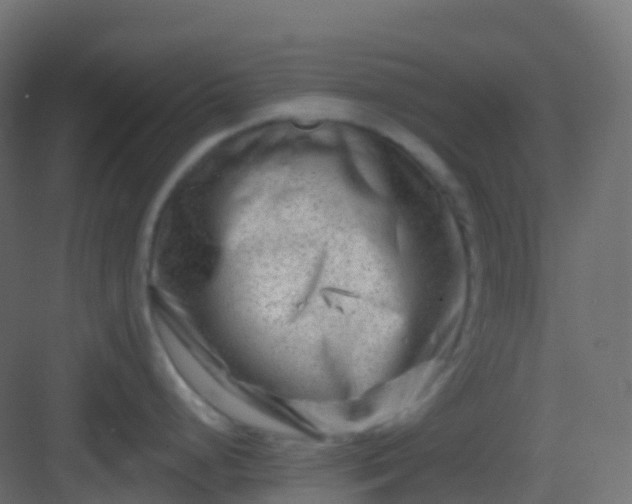 X0000082961248200702081707