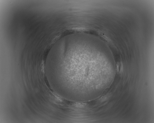 X0000082961251200702081706