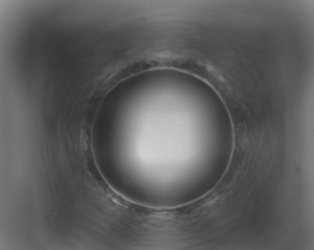 X0000082961253200702081706