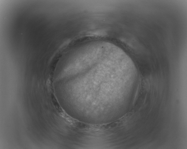 X0000082961254200702081706