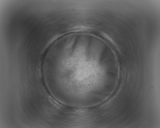 X0000082961259200702081706