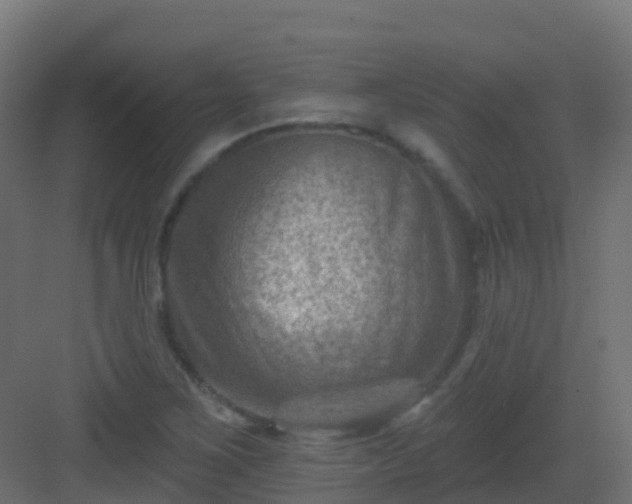 X0000082961267200702081706